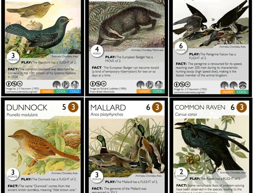 A selection of cards from one Phylogame deck. © The individual artists (CC BY-NC-SA 2.5 CA)