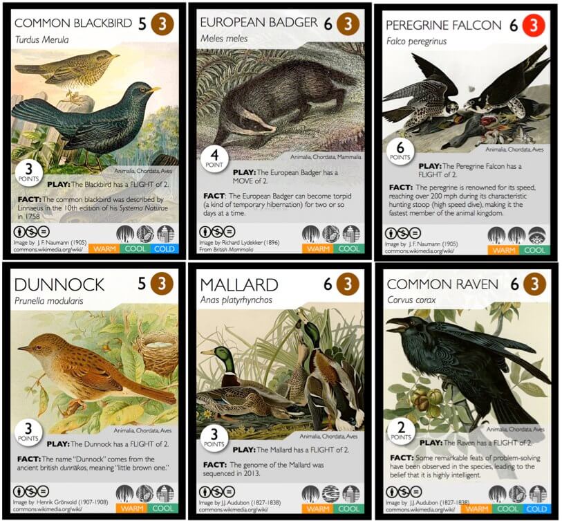 A selection of cards from one Phylogame deck. © The individual artists (CC BY-NC-SA 2.5 CA)