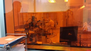 4D Labs. Image E. Rickert.